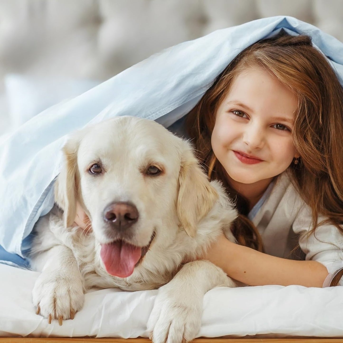 ZenDen™ - Advanced Dog Calming Diffuser