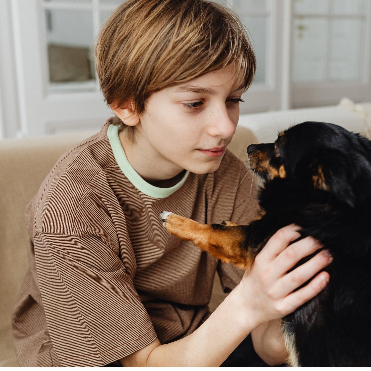 ZenDen™ - Advanced Dog Calming Diffuser