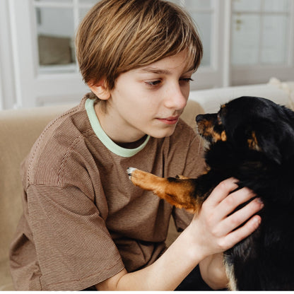 ZenDen™ - Advanced Dog Calming Diffuser